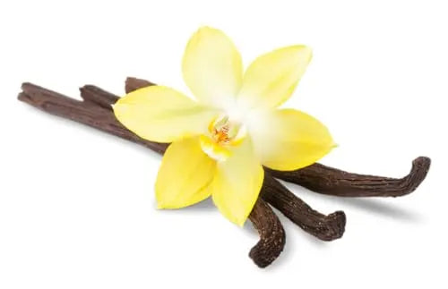 Epa Plus Collagen Hyaluronic 30 Days – 0 - AB Mystery