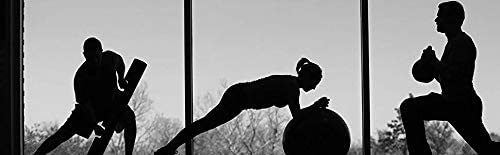 Dr. Schulze's | SuperProtein Plus | 100% Plant Protein Concentrate | Organic Powder Mix - AB Mystery