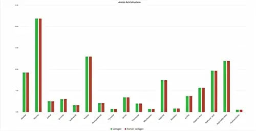 Vollagen® Advanced Vegan Collagen - 18 Amino Acid Complex in Ratio of Collagen - AB Mystery