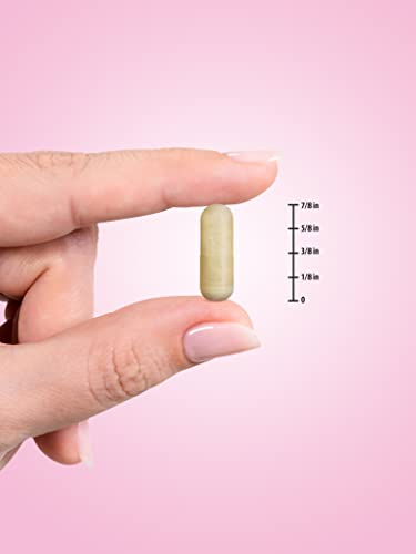 Prenatal Vitamins With Folic Acid | 60 Capsules | Non-GMO & Gluten Free Supplement Nature's Truth