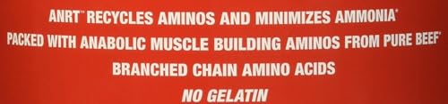MuscleMeds Carnivor Beef Protein Isolate, 0 Lactose, 0 Sugar, 0 Fat, 0 Cholesterol - AB Mystery