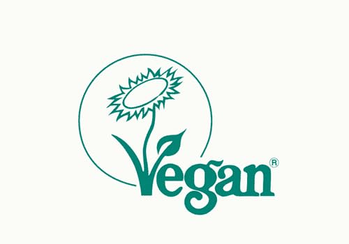 Sevenhills Wholefoods Organic Rice Protein Powder, Vegan, 2kg Sevenhills Wholefoods