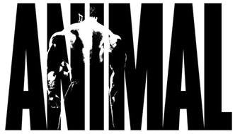 Animal Creatine Chews Tablets - Enhanced Creatine Monohydrate with AstraGin to Improve - AB Mystery