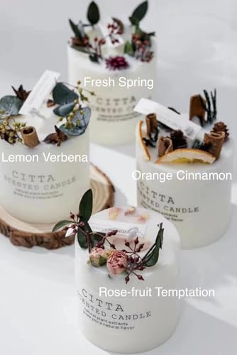 (Lemon Verbena) Luxury Scented Candles Soy Wax and Fragrance Oils Aromatherapy, Aroma Candles - AB Mystery