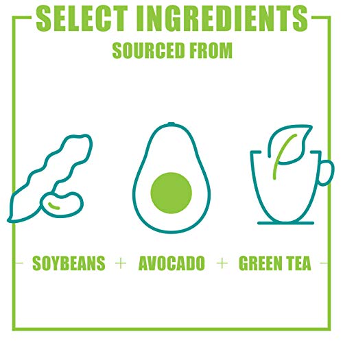 Nutramax Laboratories Dasuquin with MSM Joint Health Supplement for Large Dogs - AB Mystery