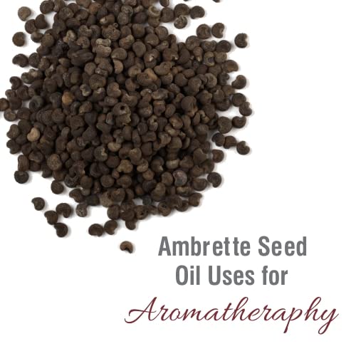 Crysalis Ambrette Seed (Abelmoschus moschatus) Oil - 0.51 Fl Oz (15ml) - AB Mystery