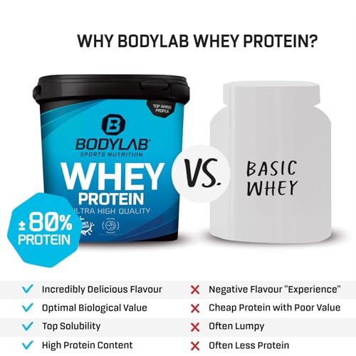 Bodylab24 Whey Protein Powder Milk Chocolate 1kg, Protein-Shake for Your Workout Bodylab24