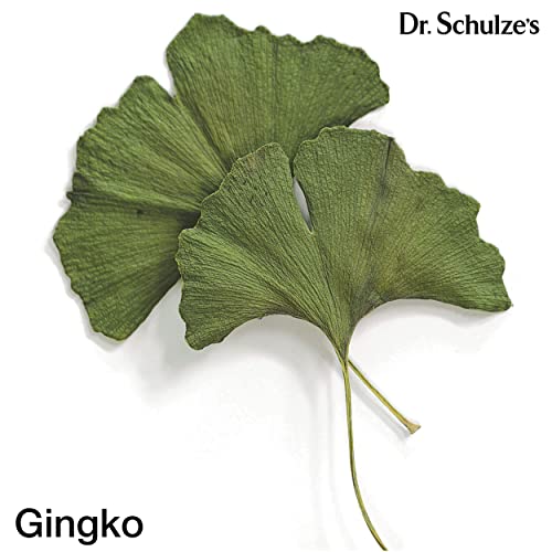 Brain Formula 2 oz. - Vegan and Wild-Harvested | Stimulates Circulation and and Improved - AB Mystery