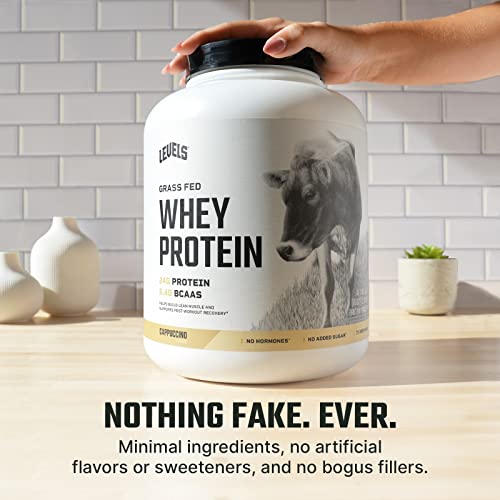 Levels Grass Fed 100% Whey Protein, No Hormones, Cappuccino, 5LB - AB Mystery