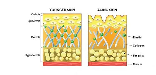 Herbal Magic's Pure & Natural Blend - Collagen Builder Capsules x 60 - Made from 17 Fruits - AB Mystery