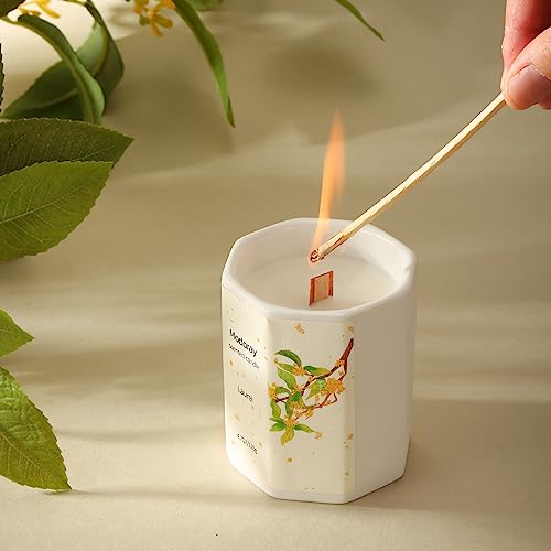 Modoray Scented Candle, Candles for Home Scented, Aromatherapy Candle，Long Lasting Natural - AB Mystery