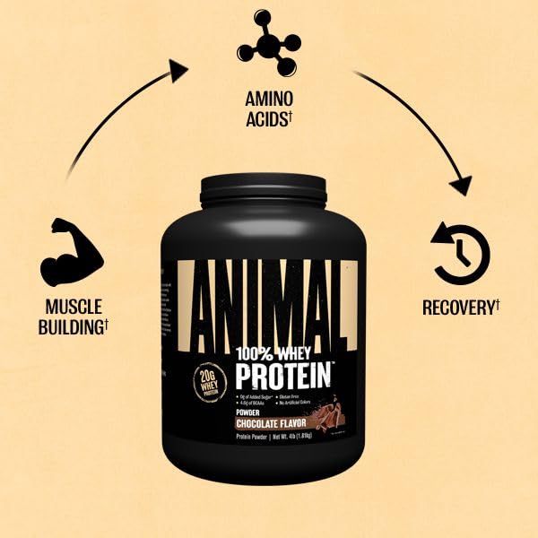 Animal 100% Whey Protein Powder – Whey Blend for Pre- or Post-Workout, Recovery - AB Mystery
