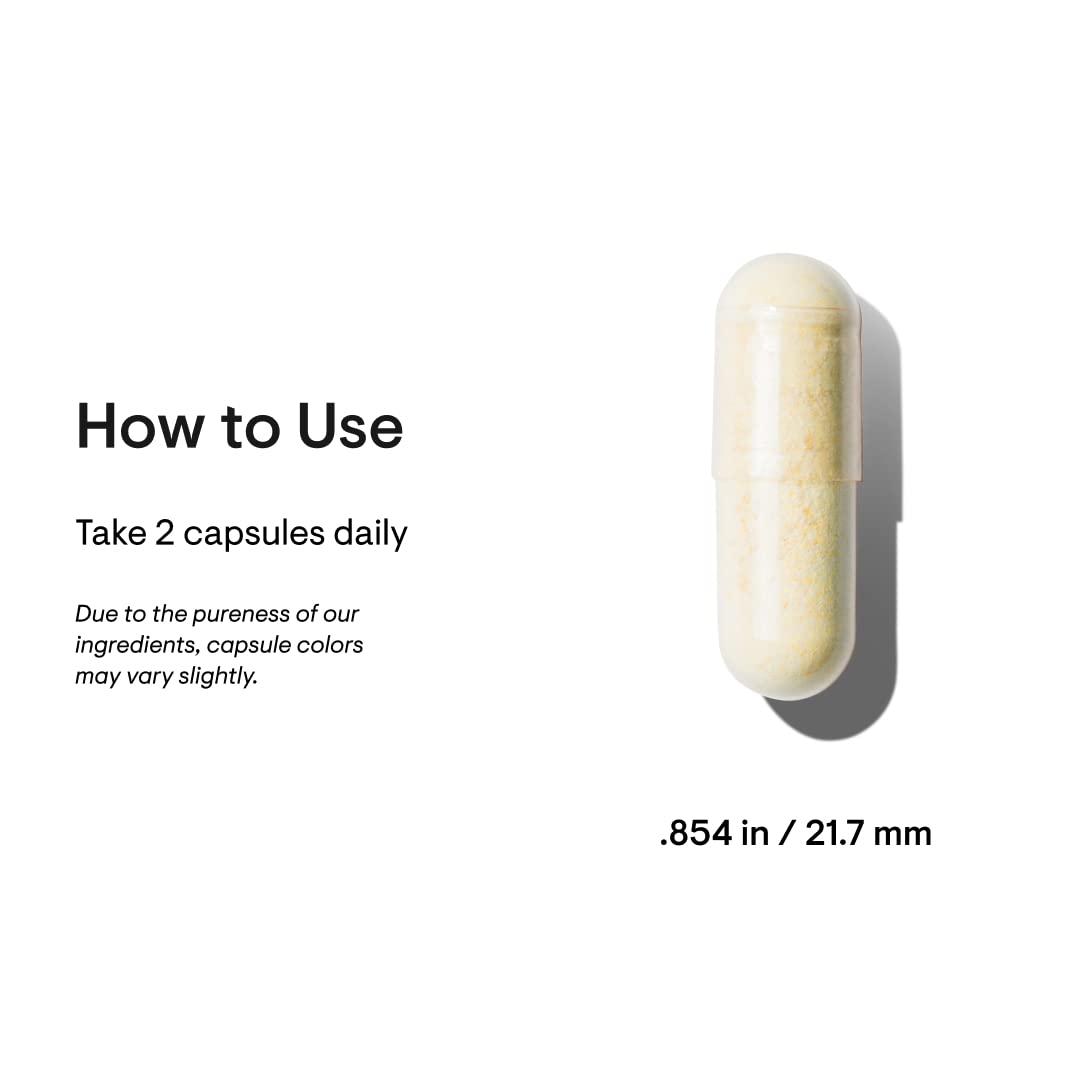 THORNE Basic Nutrients 2/Day - Comprehensive Daily Multivitamin with Optimal Bioavailab - AB Mystery