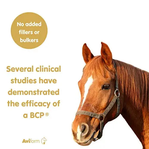 Aviform SUPPLEAZE PROGEN Horse Joint Supplement with Hydrolysed Collagen 1kg - AB Mystery