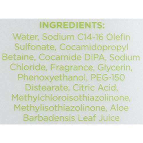 Fds Feminine Hygiene Wash for Gentle Cleansing, Aloe Fresh, 10 Ounce - AB Mystery