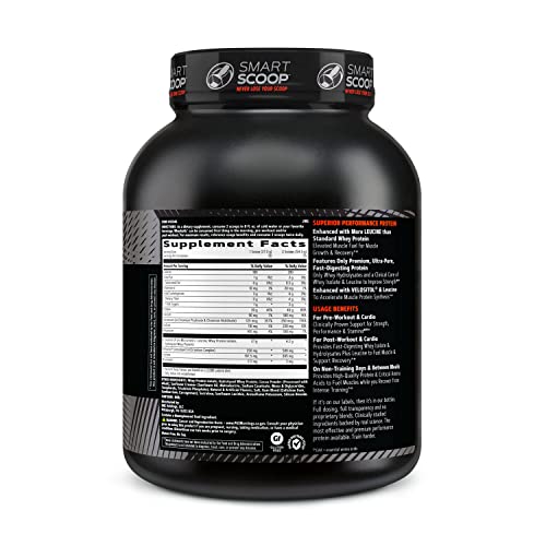 GNC AMP Wheybolic | Targeted Muscle Building and Workout Support Formula | Pure Whey - AB Mystery