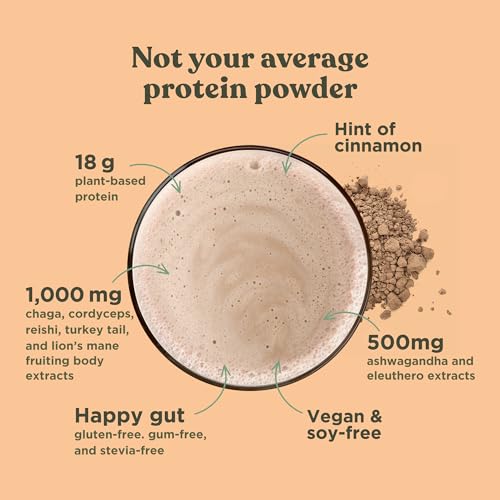 Four Sigmatic Organic Plant-Based Protein Powder Unflavored Protein with Lion’s Mane - AB Mystery