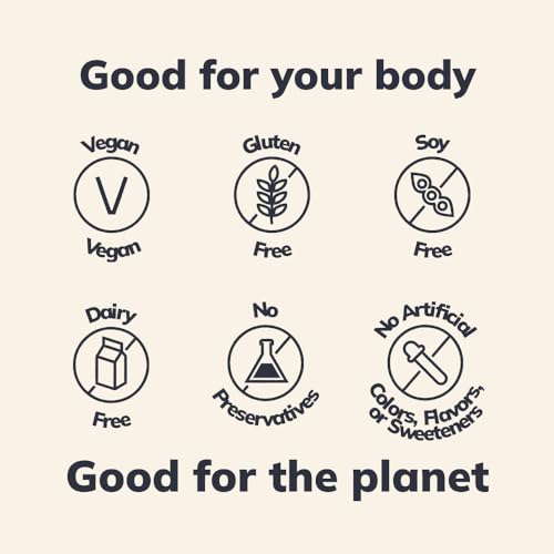 Ka'Chava Shakes - Vanilla (Vanilla) - AB Mystery