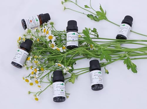 Essential Oils Set 100% Pure Natural DR.NITTA Top 6 Oils for Massage,Diffusers,Humidifier - AB Mystery