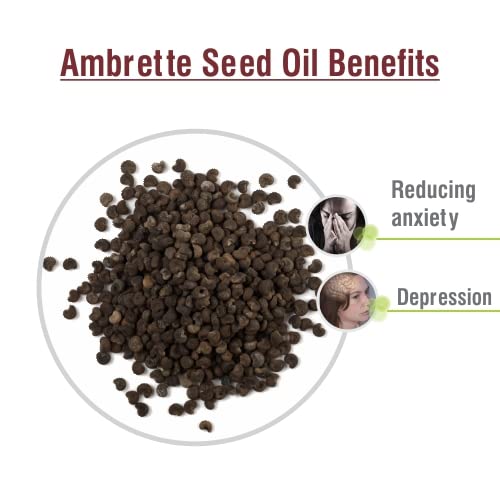 Crysalis Ambrette Seed (Abelmoschus moschatus) Oil - 0.51 Fl Oz (15ml) - AB Mystery