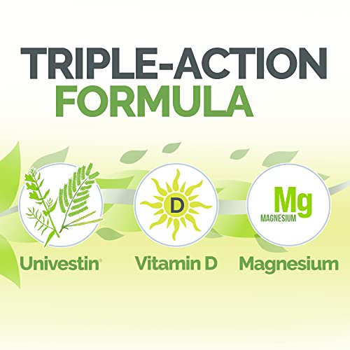 Estroven Stay Active, Fast-Acting Joint Support in Less Than 7 Days for During and After Menopause - AB Mystery