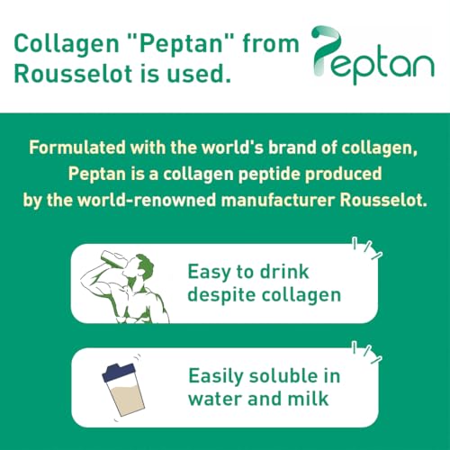 Muscle Colllagen Protein Collagen Peptides Powder Chocolate Flavored Dietary Supplement - AB Mystery