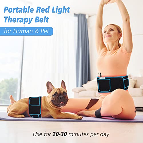 Red Light Therapy Near Infrared Light Therapy Wrap Belt for Body with Timer for Waist Back Shoulder - AB Mystery