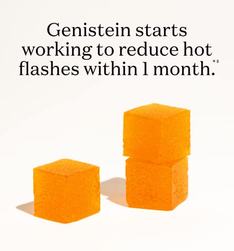 Phenology Daily Balance – Menopause Supplement for Women – Helps Minimize Hot Flashes - AB Mystery