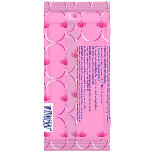Vagisil Odor Block Daily Freshening Wipes for Feminine Hygiene in Resealable Pouch - AB Mystery