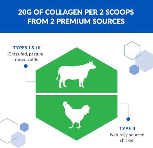 BioTrust Tri Collagen Powder - 3-in-1 Hydrolyzed Collagen Peptides Powder - AB Mystery