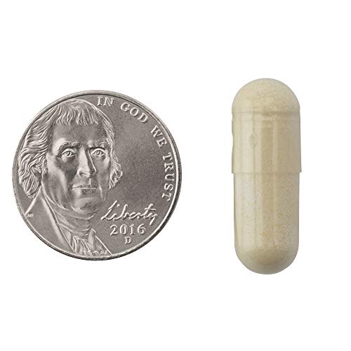 Natrol Carb Intercept with Phase 2 Carb Controller Capsules, White Kidney (Pack of 12) - AB Mystery
