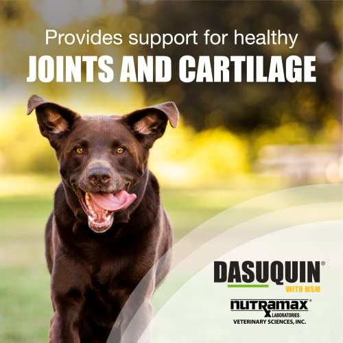 Nutramax Laboratories Dasuquin with MSM Joint Health Supplement for Large Dogs - AB Mystery