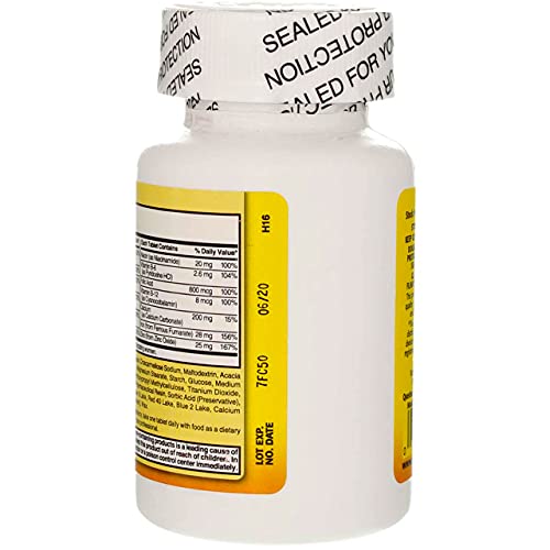 Nature's Blend Multivitamin Prenatal Formula 100 CT (Pack of 2) Nature's Blend