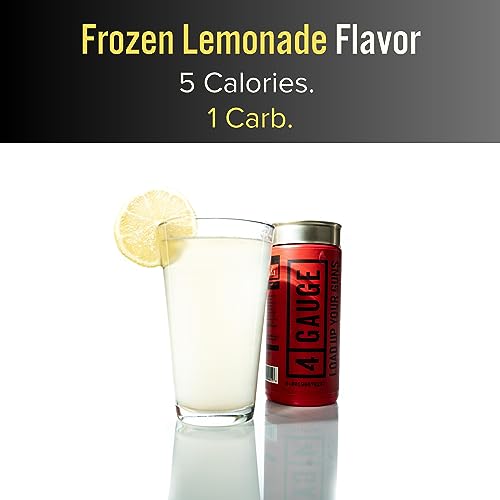 4 Gauge Natural Preworkout Without The Jitters | 30 Servings | Nitric Oxide Booster - AB Mystery