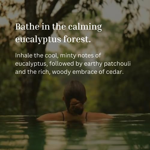 Eucalyptus Shower Spray Spa Feel - Escape to Serene Eucalyptus Forest (1200+ Sprays) - AB Mystery