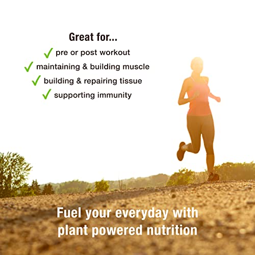 BodyMe Organic Vegan Protein Powder Blend, Naked Natural - Unsweetened, Low Carb BodyMe