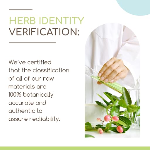 Barberry Root B120 Alcohol-Free Herbal Extract Tincture, Concentrated Liquid Drops Natural Barberry - AB Mystery