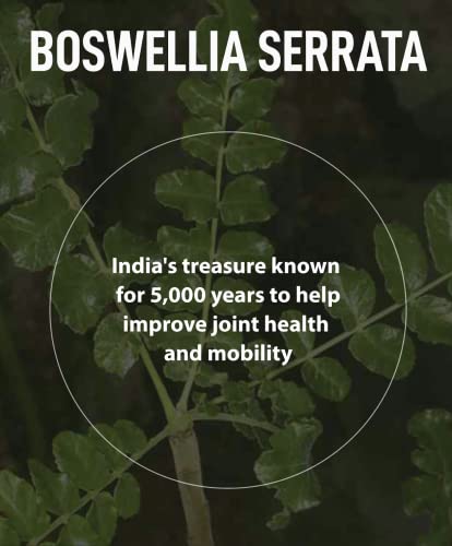 FromBIO for Joints Health and Cartilage, Boswellia, 1,000mg of Boswellia and 71mg of AKBA & KBA - AB Mystery