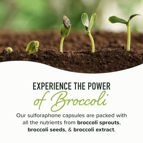 20MG Sulforaphane | From Broccoli Sprouts & Seed Extract | 565MG Microbeadlet - AB Mystery