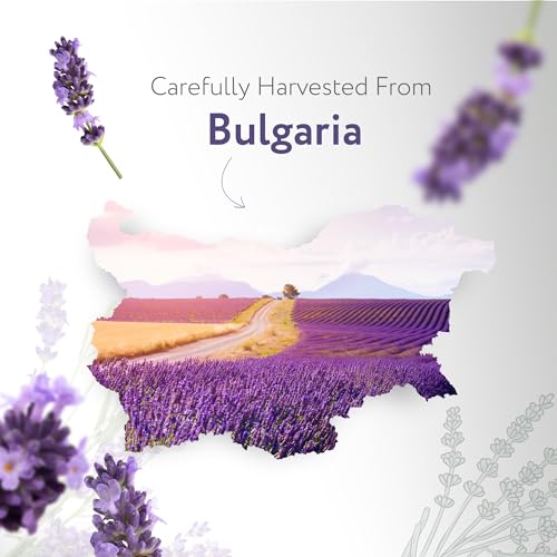 HBNO Organic Lavender Essential Oil - 1 oz (30ml) Value Size - USDA Certified Organic Lavender - AB Mystery