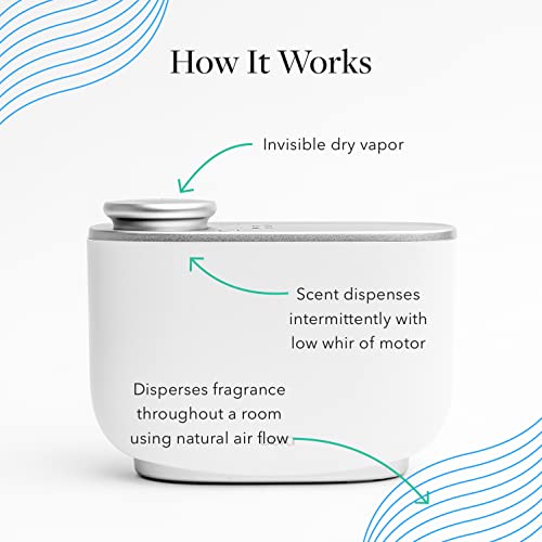 Aera Majestic Fir Home Fragrance Scent Refill - Notes of Fir and Juniper - Works with The Aera Diffuser - AB Mystery