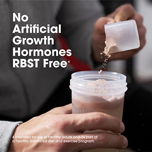 Optimum Nutrition Serious Mass, Weight Gainer Protein Powder, Chocolate, 6 Pound - AB Mystery