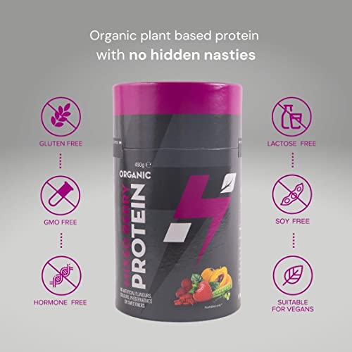 Hylife Nutrition - Organic Protein Powder - Mixed Berry Vegan Protein Powder (450g - 15 Servings) Hylife Nutrition