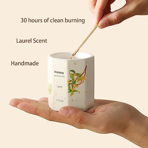 Modoray Scented Candle, Candles for Home Scented, Aromatherapy Candle，Long Lasting Natural - AB Mystery