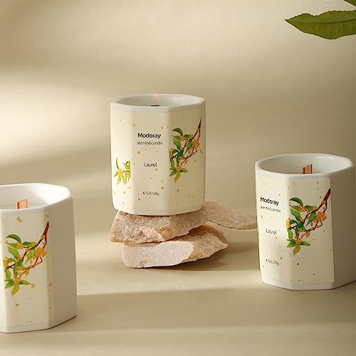 Modoray Scented Candle, Candles for Home Scented, Aromatherapy Candle，Long Lasting Natural - AB Mystery