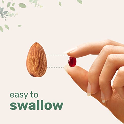 2 Pack Antarctic Krill Oil Supplement, 1000mg Per Serving, 120 Soft-Gels Each - AB Mystery