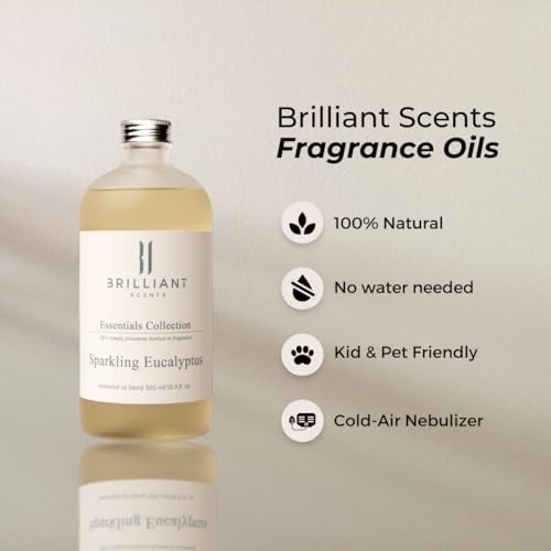 Brilliant Scents - Sparkling Eucalyptus | Luxury Home & Business Scent | Fragrance Oil - 500ml - AB Mystery