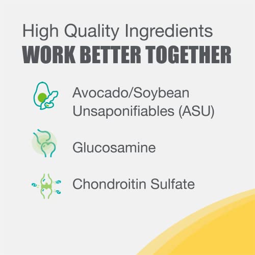 Nutramax Laboratories Dasuquin with MSM Joint Health Supplement for Large Dogs - AB Mystery