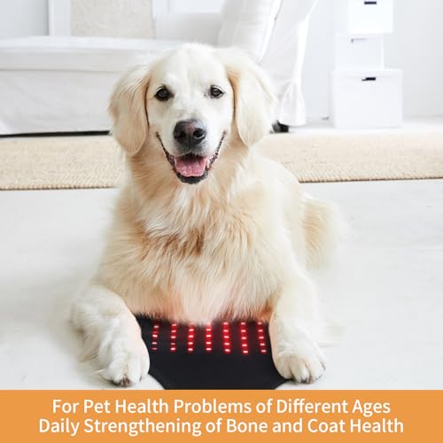 SUNNYOUNG Red Light Therapy Belt, Infrared Light Therapy Wrap Muscle Relaxing Belt with 120 LED Lights - AB Mystery