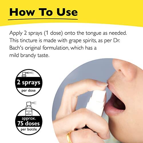 Day & Night Bundle, Bach RESCUE REMEDY Spray, Natural Stress Relief [and] RESCUE SLEEP Spray - AB Mystery